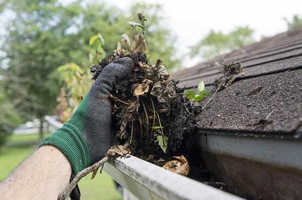 neglecting gutter cleaning can lead to water damage, mold growth, and structural damage to your home